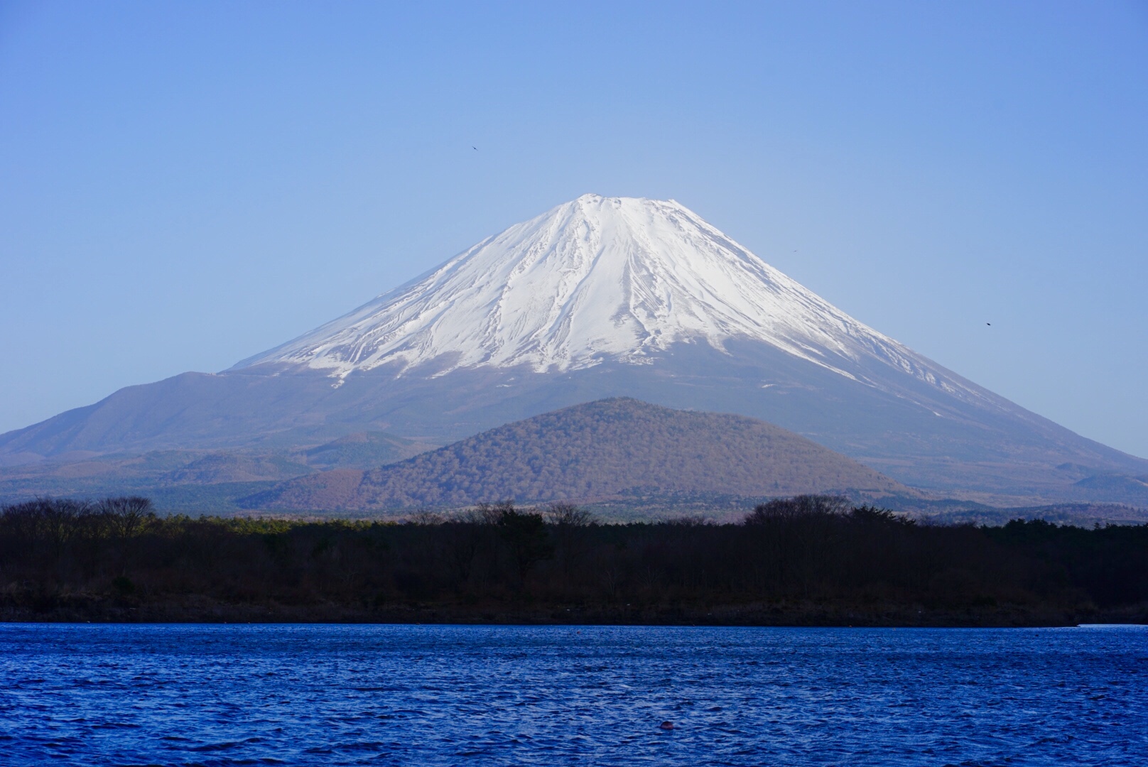 富士五湖の中でも格安でてきる 精進湖自由キャンプ場 Outdoor To Indoor